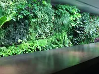 WALLの写真・動画_image_137714