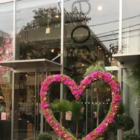 ニコライバーグマン ノム（Nicolai Bergmann NOMU ）の写真・動画_image_137718