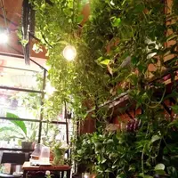 青山フラワーマーケット ティーハウス 南青山本店 （Aoyama Flower Market TEA HOUSE）の写真・動画_image_137722