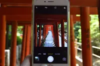 根津神社の写真・動画_image_137781