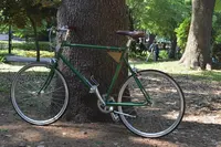 上野恩賜公園（上野公園）の写真・動画_image_137785