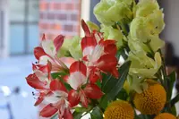 from afar（フロムアファー ）の写真・動画_image_137791