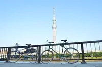 隅田川の写真・動画_image_137793