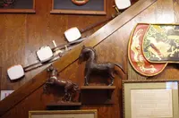 新三よしの写真・動画_image_137921
