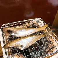 酔月の写真・動画_image_137969