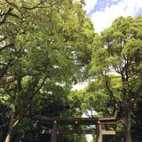 明治神宮の写真・動画_image_137983