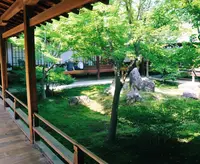 建仁寺の写真・動画_image_138045