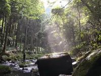 鍋ヶ滝の写真・動画_image_138150