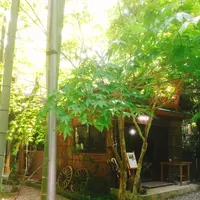 杣の栖の写真・動画_image_138181