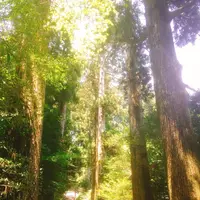 箱根神社の写真・動画_image_138189