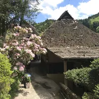 鹿鳴庵の写真・動画_image_138233