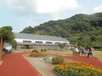 土肥金山の写真・動画_image_138303