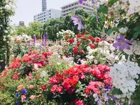 山下公園の写真・動画_image_138322