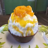 雪みるくの写真・動画_image_138456