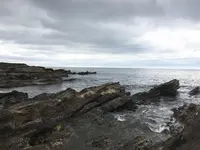 城ケ島の写真・動画_image_138881