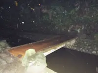 等々力渓谷の写真・動画_image_138950