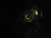 等々力渓谷の写真・動画_image_138952