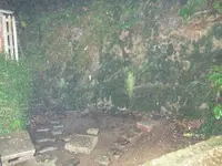 等々力渓谷の写真・動画_image_138954