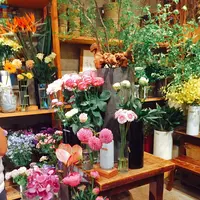 葉花の写真・動画_image_139012