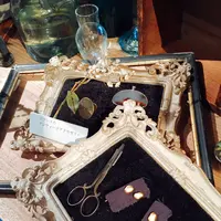 ピボワンヌ （pivoine） の写真・動画_image_139030