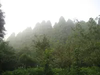 幣立神宮（幣立神社）の写真・動画_image_139076