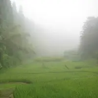幣立神宮（幣立神社）の写真・動画_image_139077