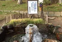 江津湖の写真・動画_image_139178