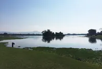 江津湖の写真・動画_image_139181