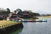 江津湖の写真・動画_image_139191