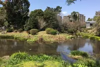 江津湖の写真・動画_image_139197