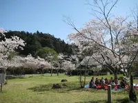青井阿蘇神社の写真・動画_image_139361
