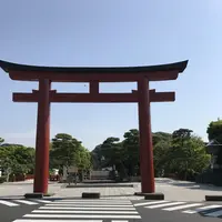 鶴岡八幡宮の写真・動画_image_139466