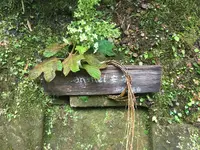 如意庵の写真・動画_image_139712