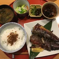 たき下の写真・動画_image_139933