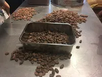 Dandelion Chocolate（ダンデライオンチョコレート）の写真・動画_image_140016