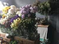 from afar（フロムアファー ）の写真・動画_image_140040
