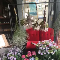 from afar（フロムアファー ）の写真・動画_image_140041