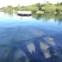 USSアリゾナ記念館の写真・動画_image_140065