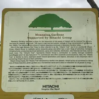 モアナルア・ガーデンズの写真・動画_image_140086