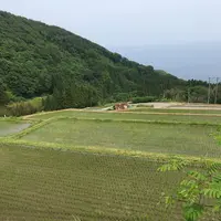 杉池の広葉樹林【紅葉の名所】の写真・動画_image_140108