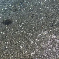 豊岡の写真・動画_image_140110