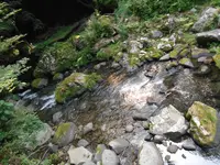 河津七滝巡りの写真・動画_image_140129