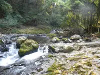 河津七滝巡りの写真・動画_image_140133