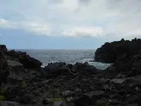 城ヶ崎海岸の写真・動画_image_140163