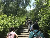 明月院（あじさい寺）の写真・動画_image_140250