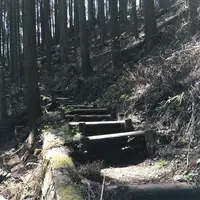 御岳山の写真・動画_image_140269