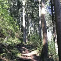 御岳山の写真・動画_image_140270