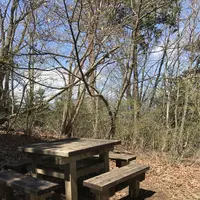 御岳山の写真・動画_image_140271