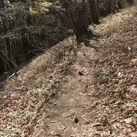 御岳山の写真・動画_image_140272