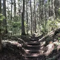 御岳山の写真・動画_image_140273